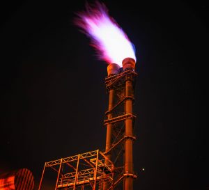R&D Trends of Renewable Energy Market